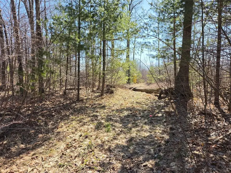 Lot 1 W South Shore Rd, Hayward, WI 54843 - #3