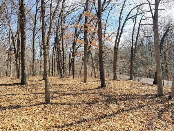 Lot 6 Big Lake Drive, Osceola, WI 54020