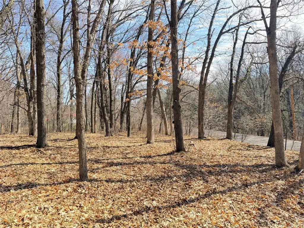 Lot 7 Big Lake Drive, Osceola, WI 54020 - #1