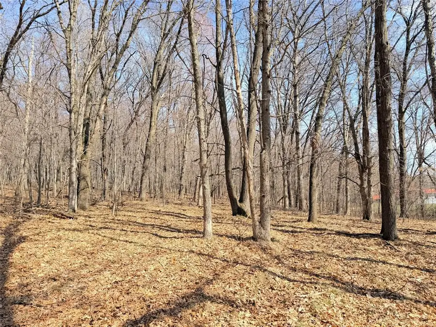 Lot 7 Big Lake Drive, Osceola, WI 54020 - #2