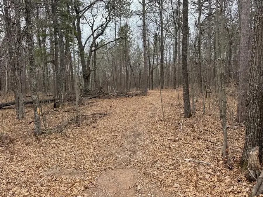 27846 290th Avenue, Holcombe, WI 54745 - #3