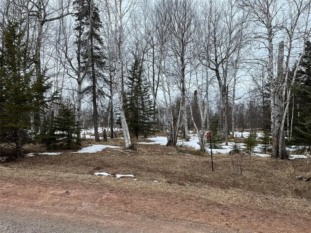 10427 E Devries Road, Poplar, WI 54864 - #1