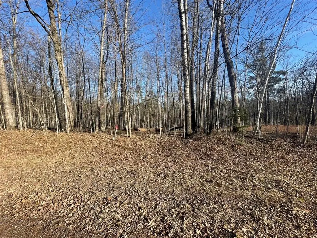 2897 29 7/8 Avenue, Birchwood, WI 54817 - #1