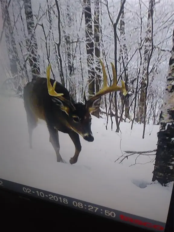 2339 150th 150th Street, Luck, WI 54853 - #1