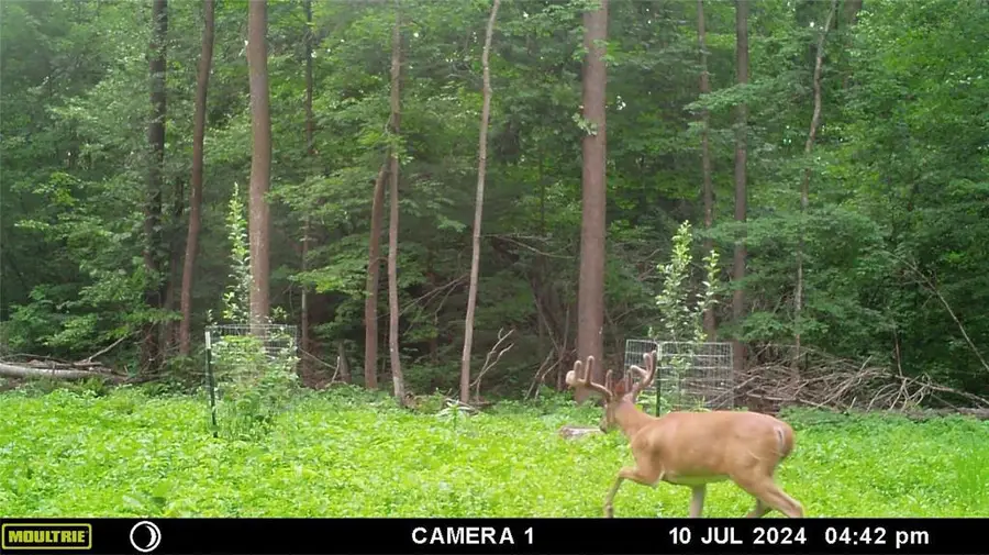 2339 150th 150th Street, Luck, WI 54853 - #2