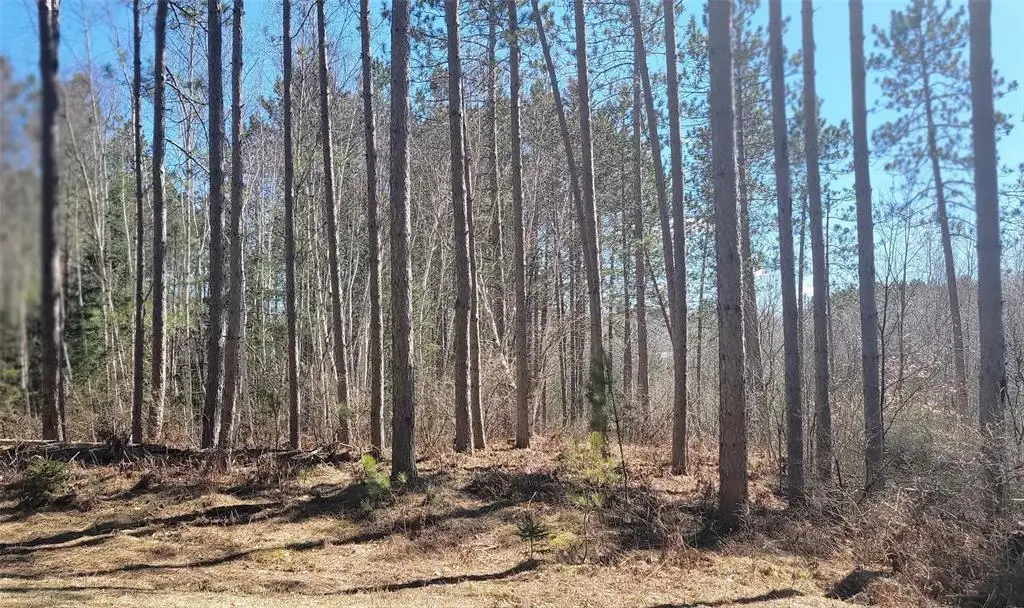 On Hunter Lake Road, Winter, WI 54896 - #1