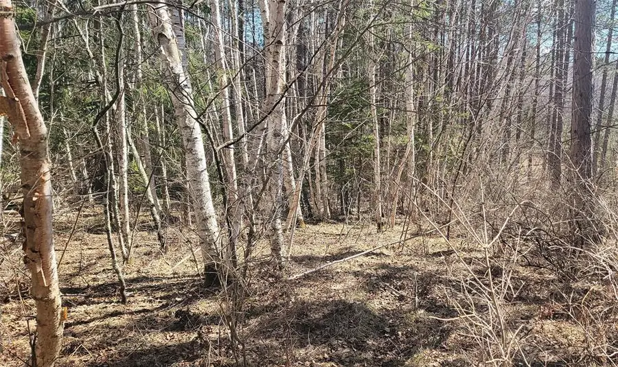 On Hunter Lake Road, Winter, WI 54896 - #3