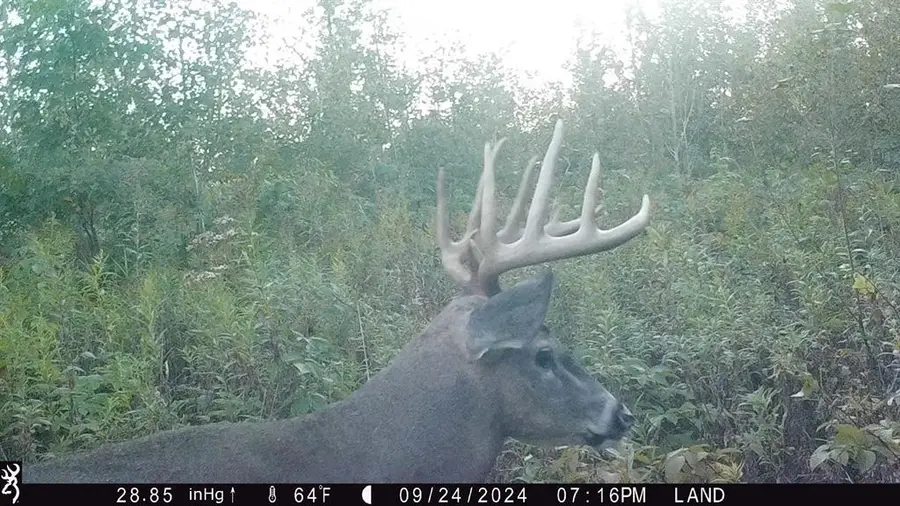 Lot 4 160th Avenue, Turtle Lake, WI 54889 - #2