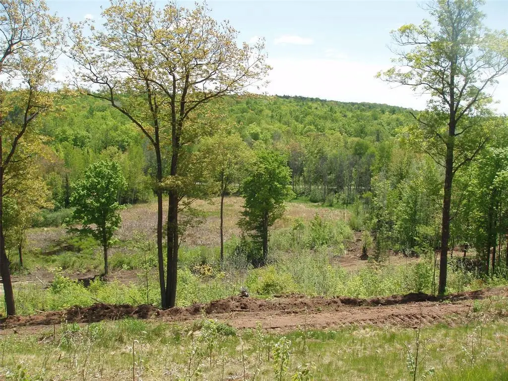 Lot 1 On Highway 169, Mellen, WI 54546 - #1