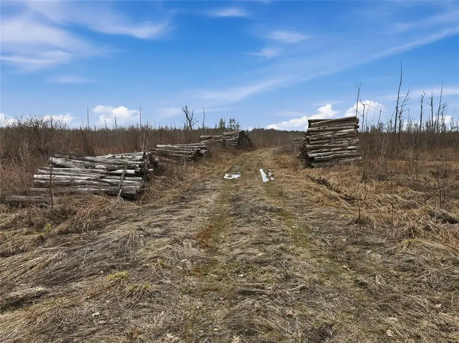 51.54 Acres Along County Road CC, Couderay, WI 54828 - #2