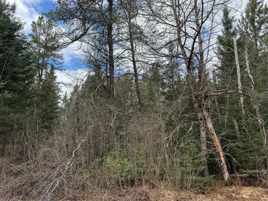 Lot 30 Maple Court, Cable, WI 54821 - #1