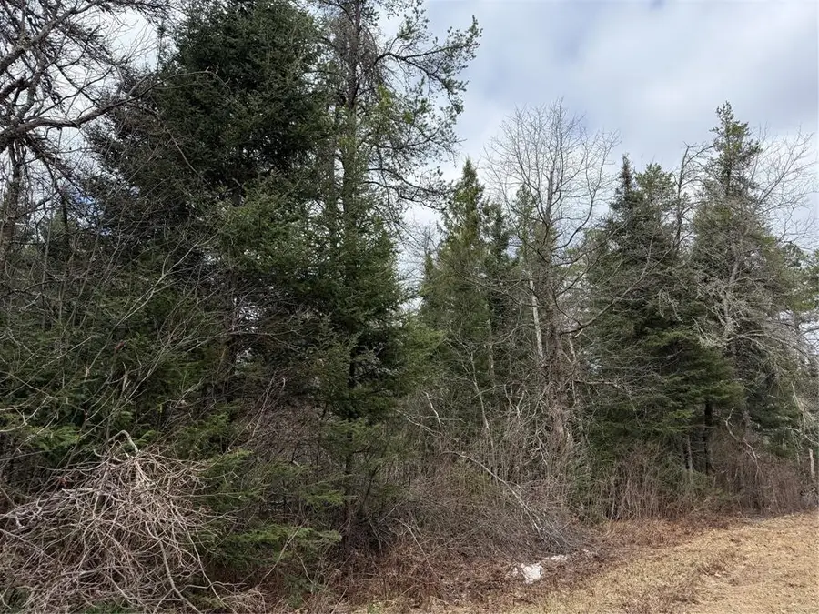 Lot 30 Maple Court, Cable, WI 54821 - #2