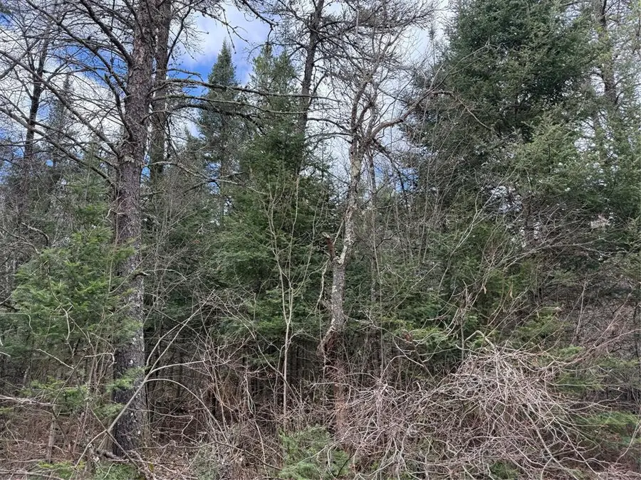 Lot 30 Maple Court, Cable, WI 54821 - #3