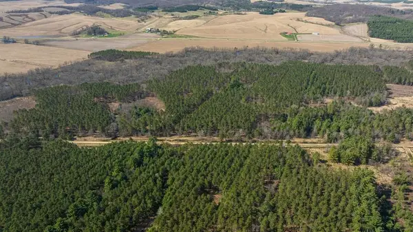 0 Prairie Road, Osseo, WI 54758