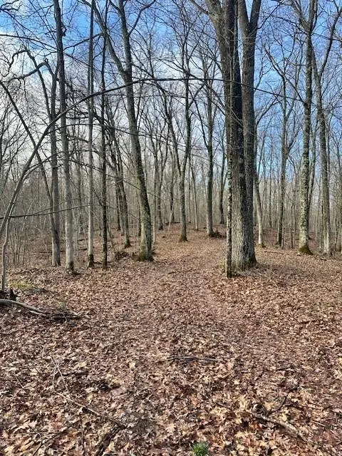 W6039 Barrett Tr, Trego, WI 54888 - #3