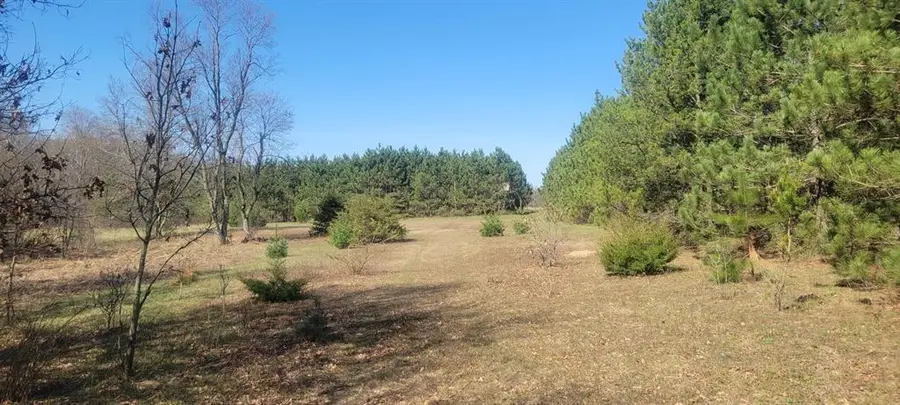 W14103 County P Highway, Taylor, WI 54659 - #2