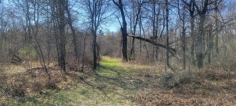 W14103 County P Highway, Taylor, WI 54659 - #3