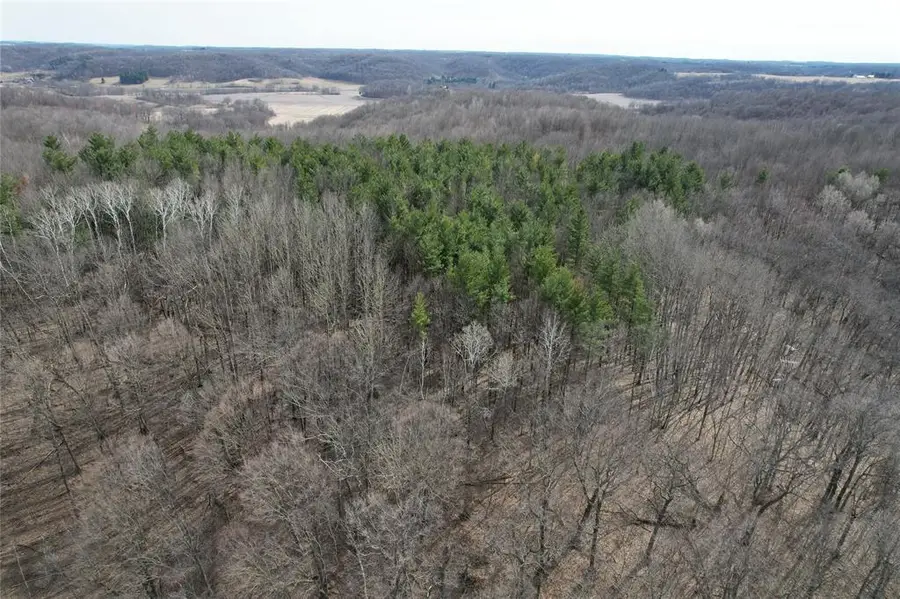 0 3rd Avenue, Knapp, WI 54749 - #3