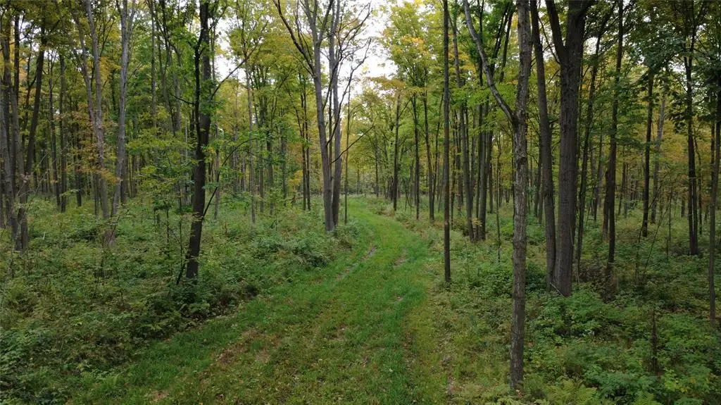 000 Nehrbass Road, Athens, WI 54411 - #1