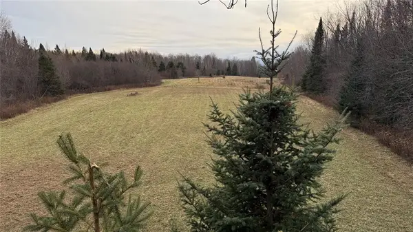 80+/- Acres Off South Park Road, Butternut, WI 54514