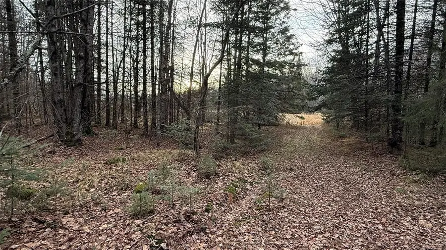 80+/- Acres Off South Park Road, Butternut, WI 54514 - #2