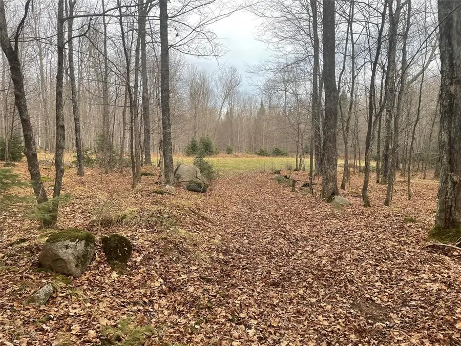 80+/- Acres Off South Park Road, Butternut, WI 54514 - #3