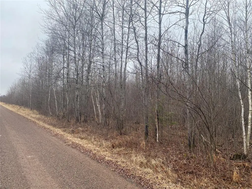 ON Shauger Road, Ogema, WI 54459 - #1