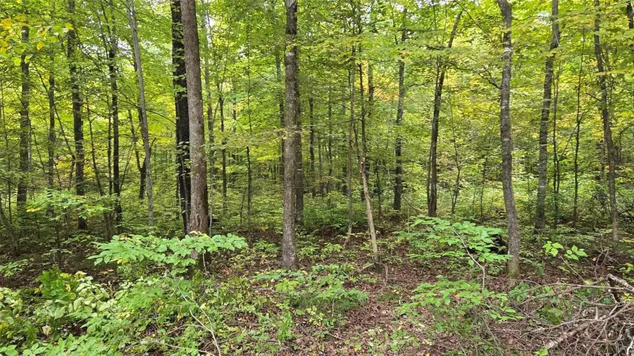 Lot 2 Lakeview LN., Exeland, WI 54835 - #2