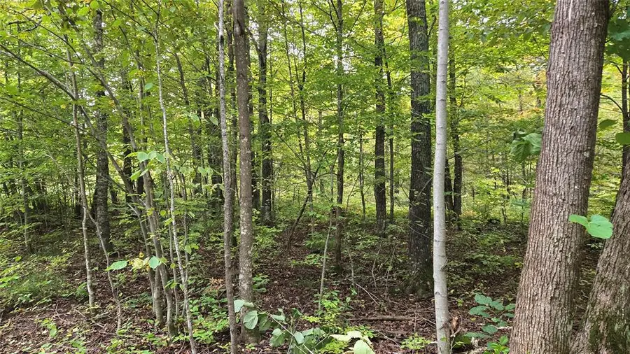 Lot 2 Lakeview LN., Exeland, WI 54835 - #3
