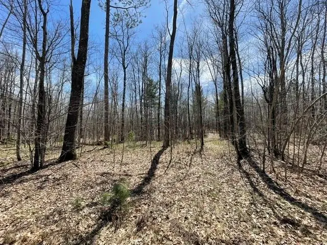 0 White Oak Trail, Hayward, WI 54843 - #3