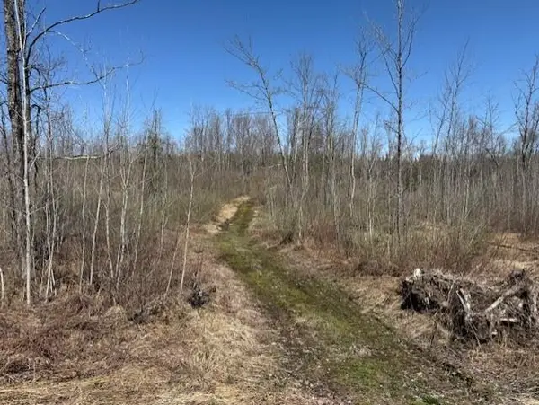 4819N Horse Creek Trail, Ojibwa, WI 54862