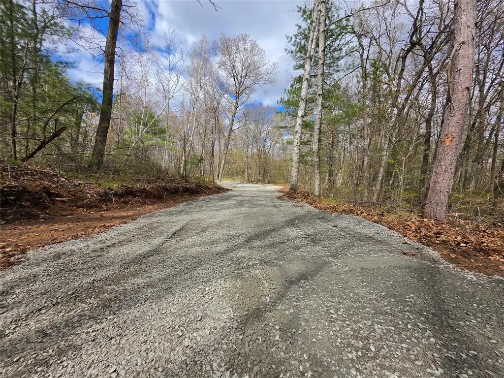 27796 295TH AVE LOT 17 Avenue, Holcombe, WI 54745 - #1