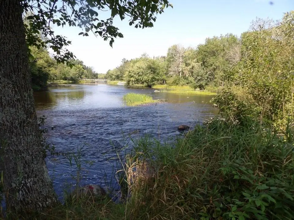 4544W Blaisdell Court, Loretta, WI 54896 - #1