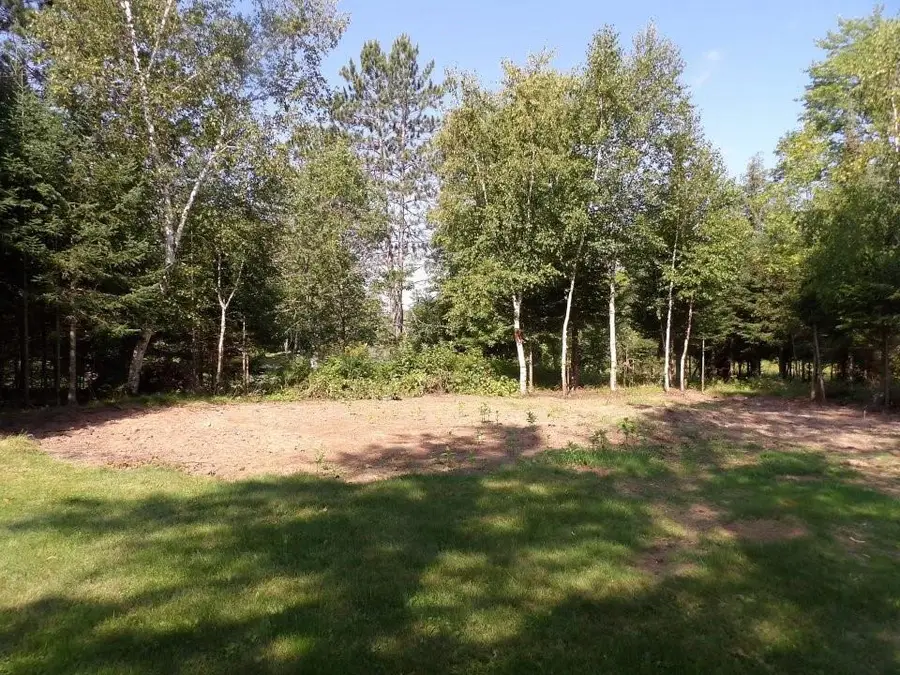 4544W Blaisdell Court, Loretta, WI 54896 - #3