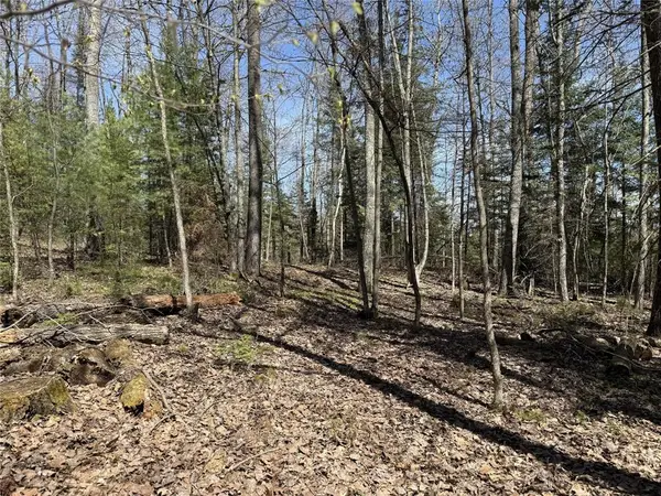 14667 Point Drive, Hayward, WI 54843