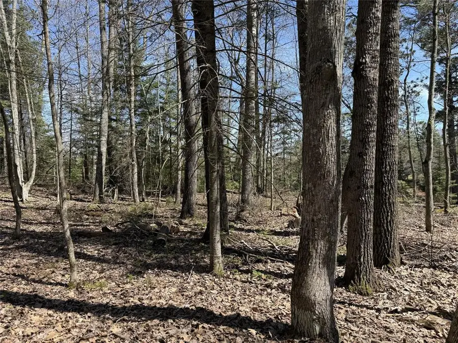 14667 Point Drive, Hayward, WI 54843 - #2