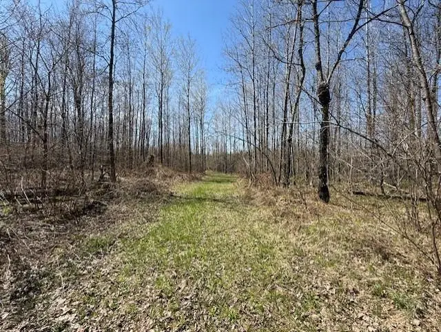 W9793 Dankes Road, Flambeau, WI 54843 - #1