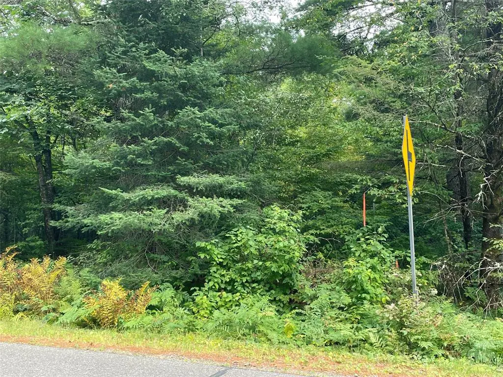 Lot 4 Hermosa Lane, Hayward, WI 54843 - #1