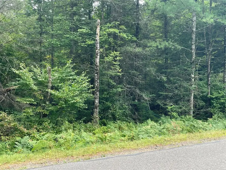 Lot 4 Hermosa Lane, Hayward, WI 54843 - #2