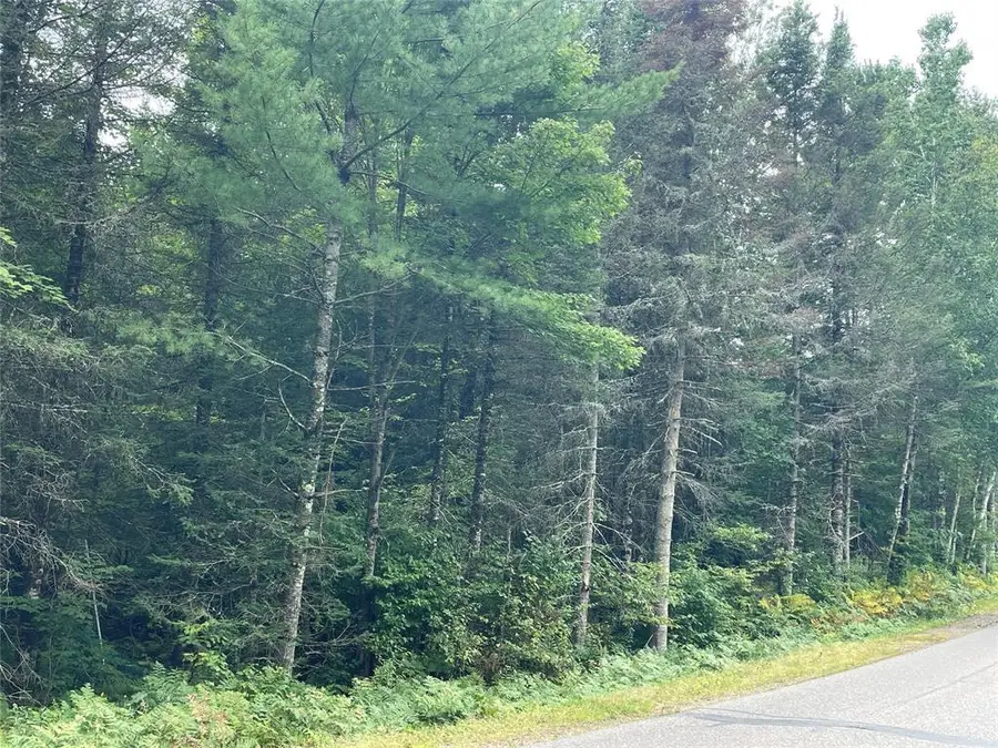 Lot 4 Hermosa Lane, Hayward, WI 54843 - #3