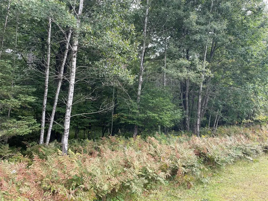 Lot 8 Hermosa Lane, Hayward, WI 54843 - #1