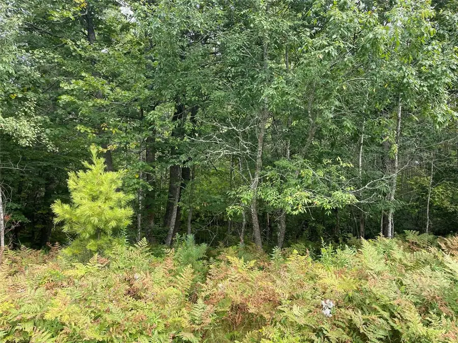 Lot 8 Hermosa Lane, Hayward, WI 54843 - #3