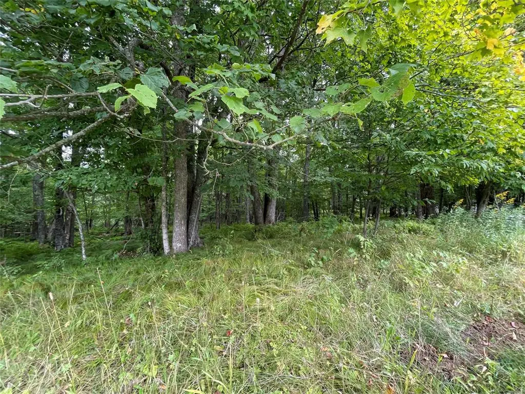 Lot 9 Hermosa Lane, Hayward, WI 54843 - #1