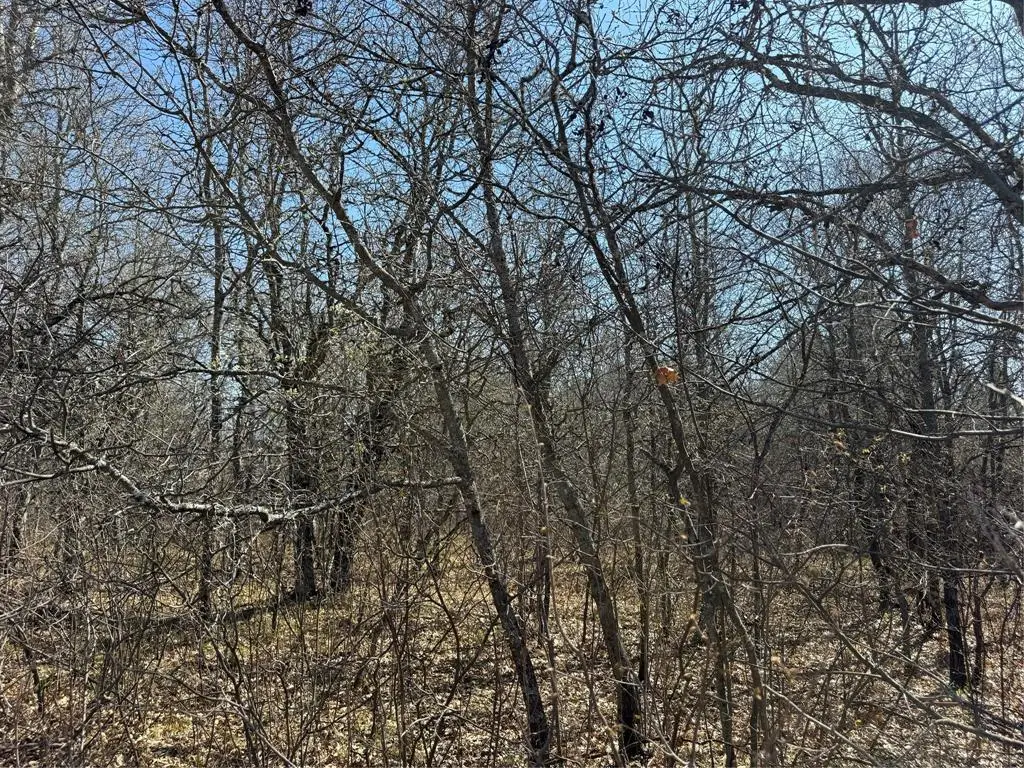 Lot 53 E Wilderness Court, Barnes, WI 54873 - #1