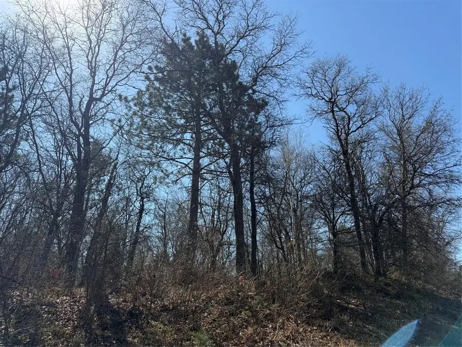 Lot 53 E Wilderness Court, Barnes, WI 54873 - #2