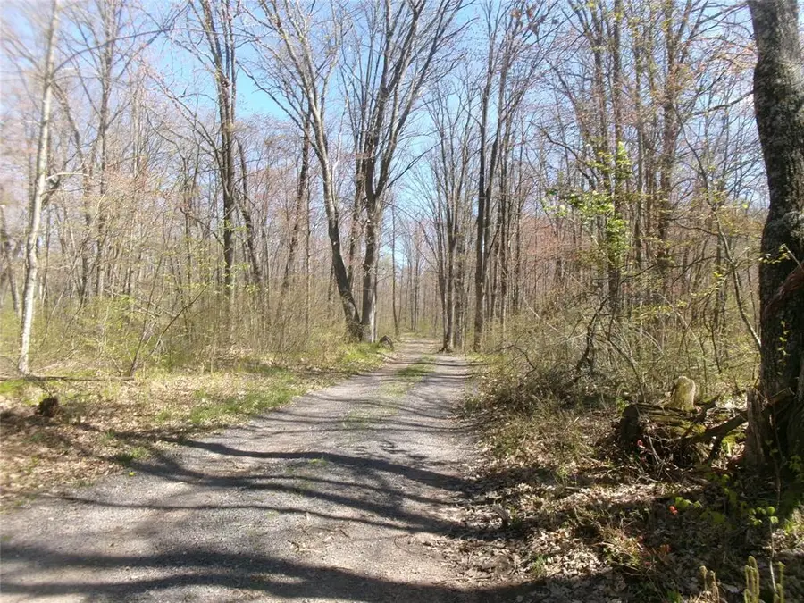 Tax ID 35410 Moody Lake Rd, Sarona, WI 54870 - #2