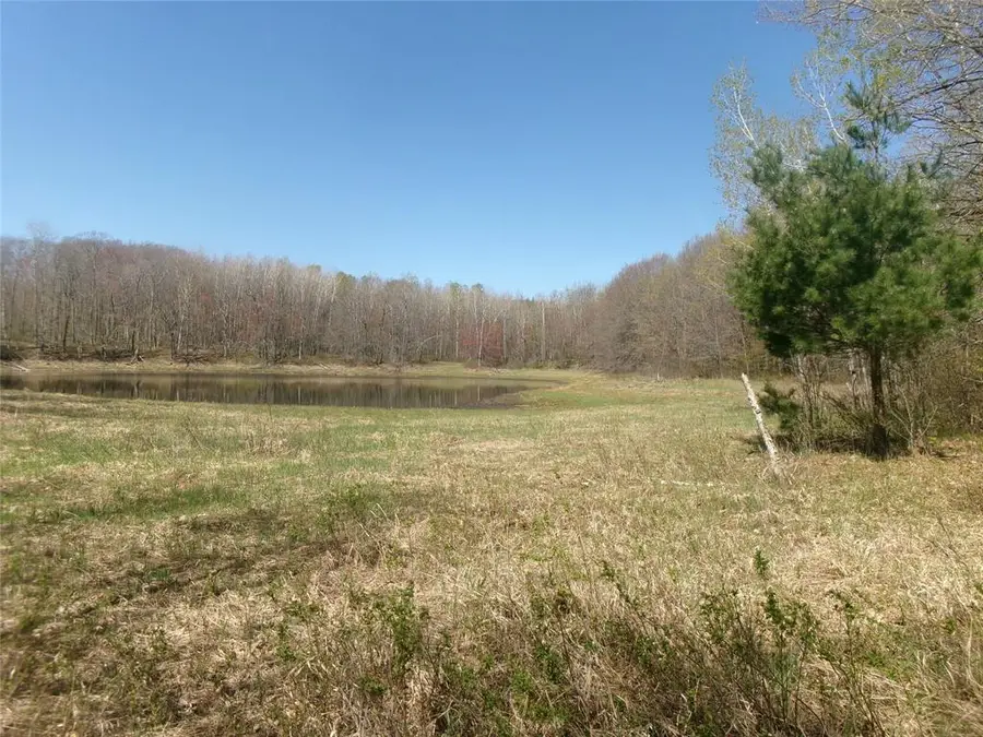 Tax ID 35410 Moody Lake Rd, Sarona, WI 54870 - #3