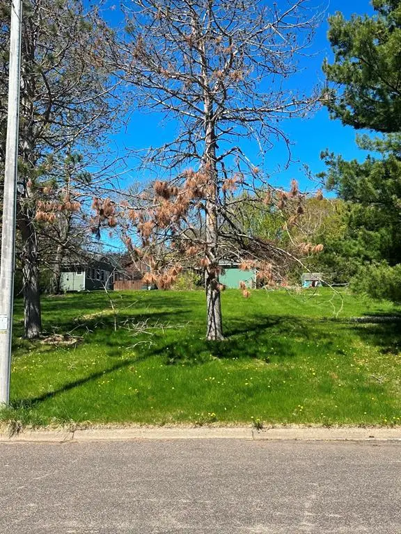 Lot 5 Havel Road, Rice Lake, WI 54868 - #3