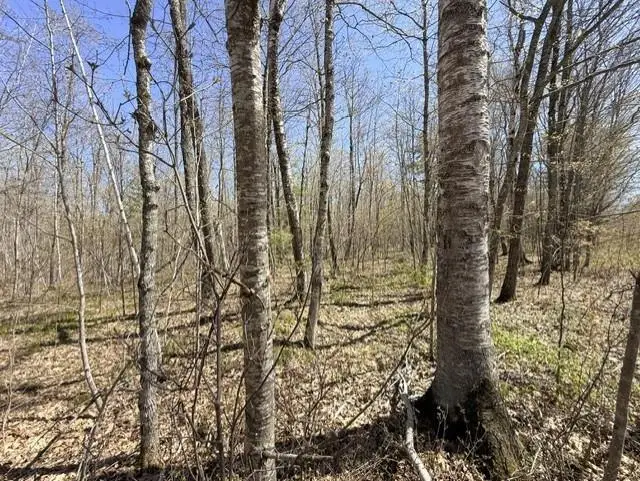Lots 9 & 10 Peninsula Road, Hayward, WI 54843 - #3