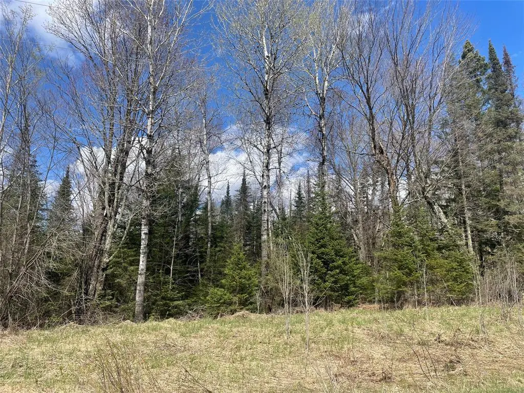81620 Pociask Road, Butternut, WI 54514 - #1